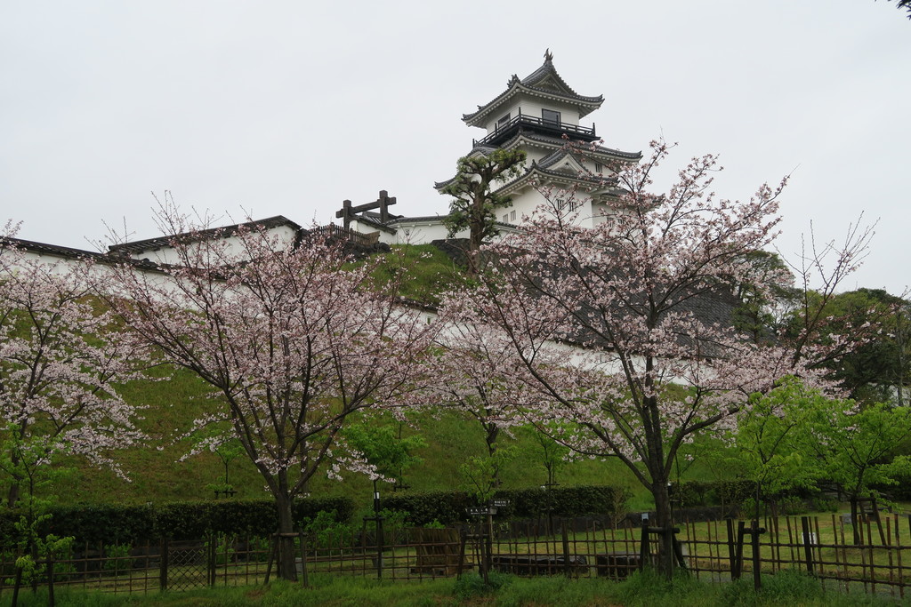 kakegawa castle