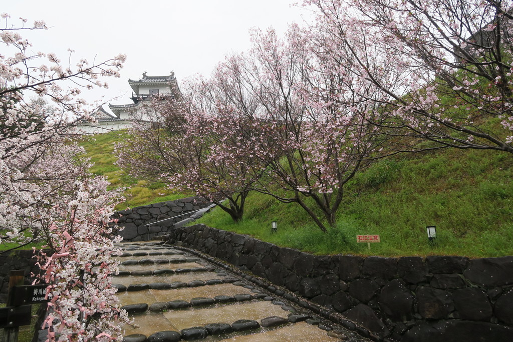 kakegawa castle