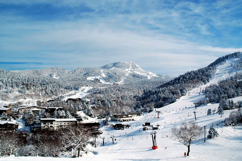 shiga kogen