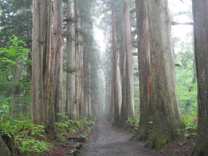 Togakushi upper shrine