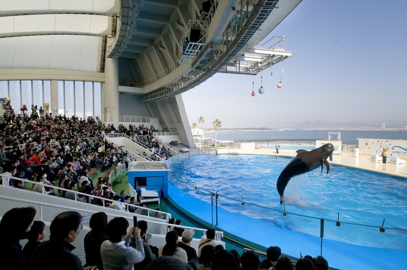 marine world uminonakamichi