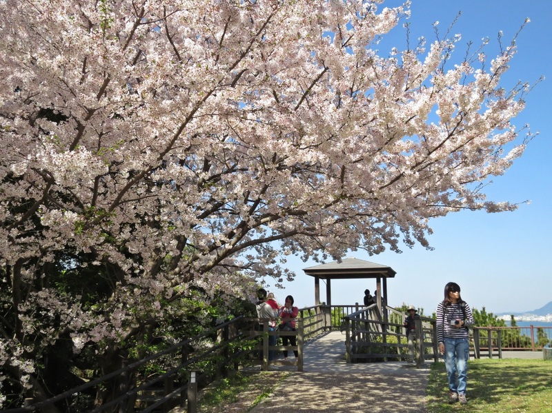 nishi koen fukuoka