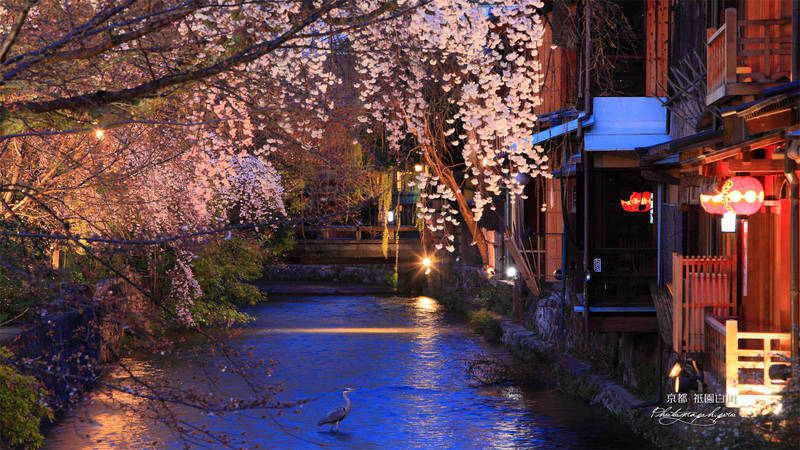 shirakawa