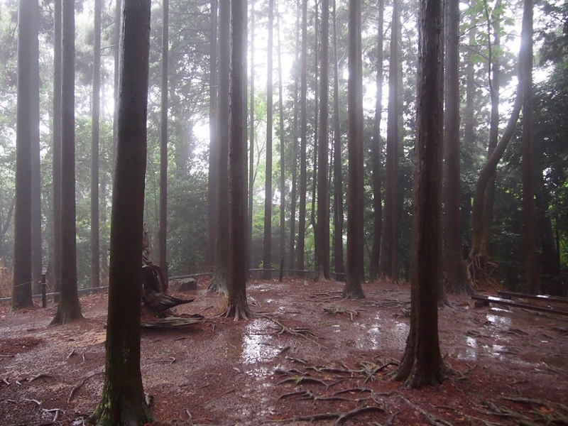 kurama kibune hiking trail