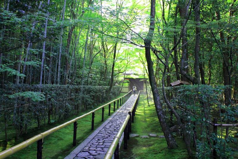 daitokuji kotoin temple kyoto