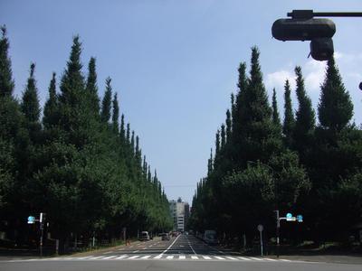aoyama