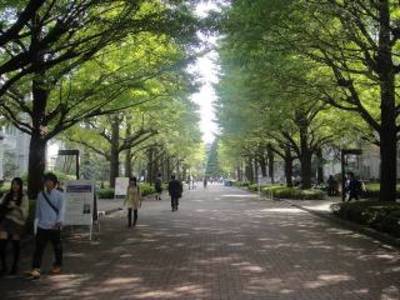 aoyama