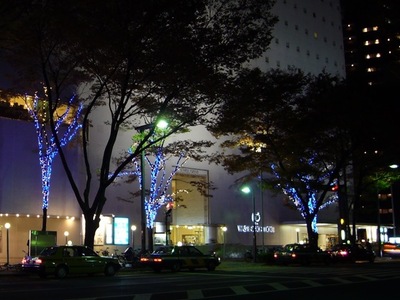 il washington hotel dalla strada a natale