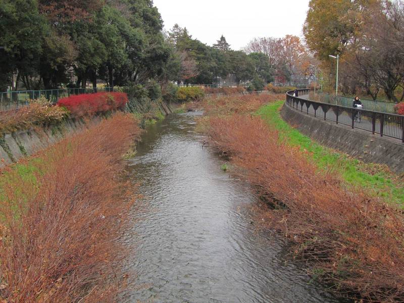 maison ikkoku manga godai walking in bridge over the river