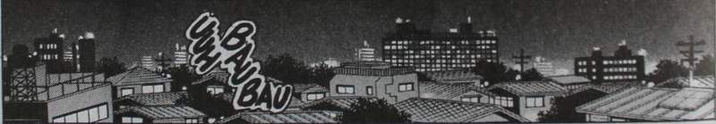 nerima manga ranma